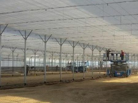 Agronetic – Romania