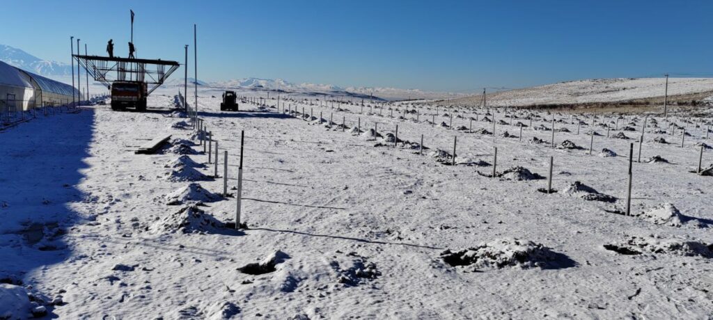 Armenia Supervision – Europrogress