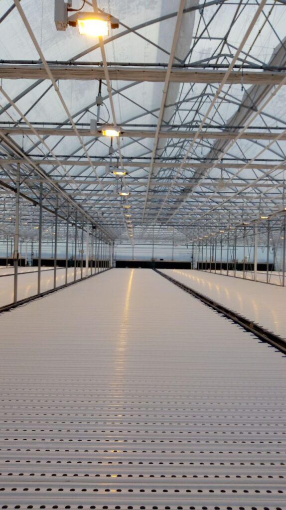 Bulgaria Happy Fruits project