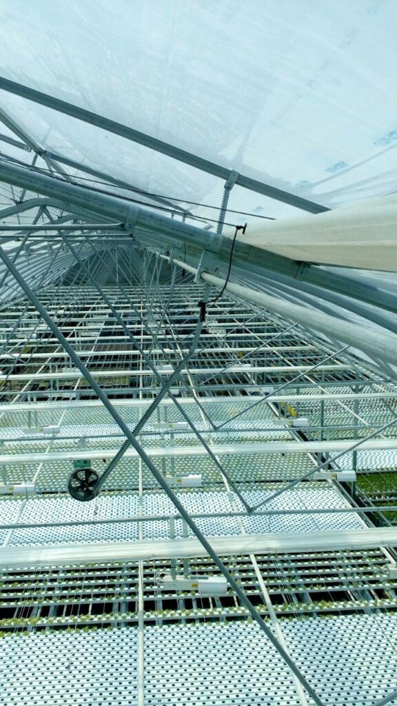 Bulgaria Totev Intervention