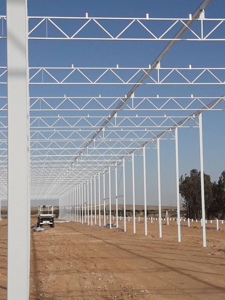 Desert Joy 6 – Tunisia