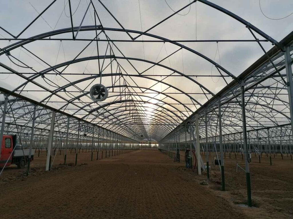 Eike 3 Richel – Germany