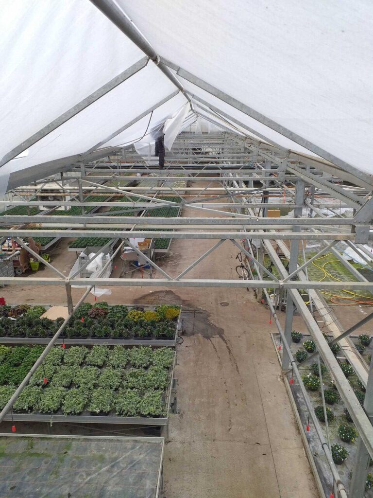 France Deforche 2019