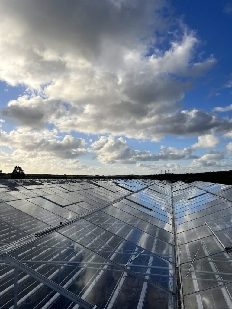 France – First team