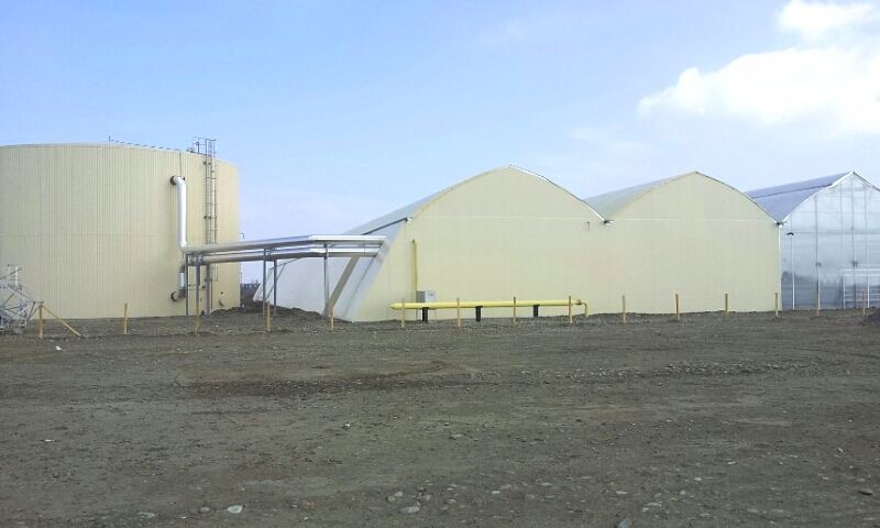 Georgia – Greenhouse Company – Supervision