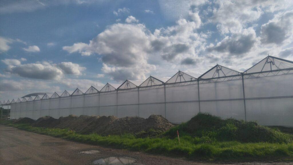 Germany Anne Niemman