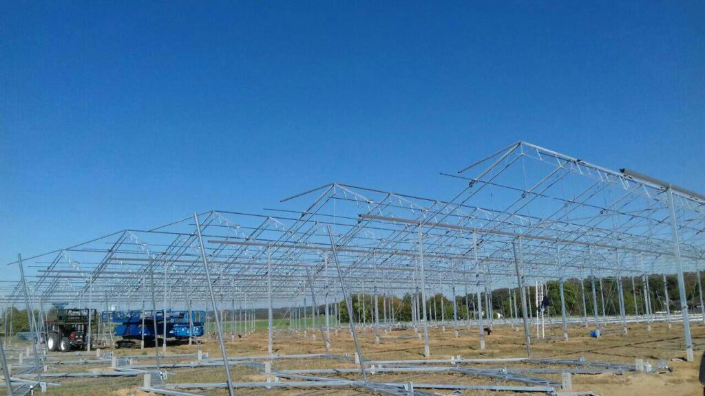 Germany Frucht Jansen GBR VDH Foliekassen