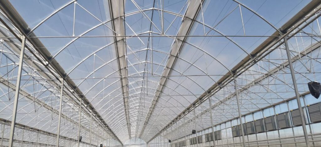 Greece Karditsa Screen