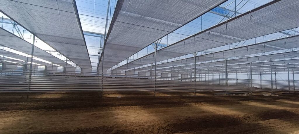 Guatemala Supervision