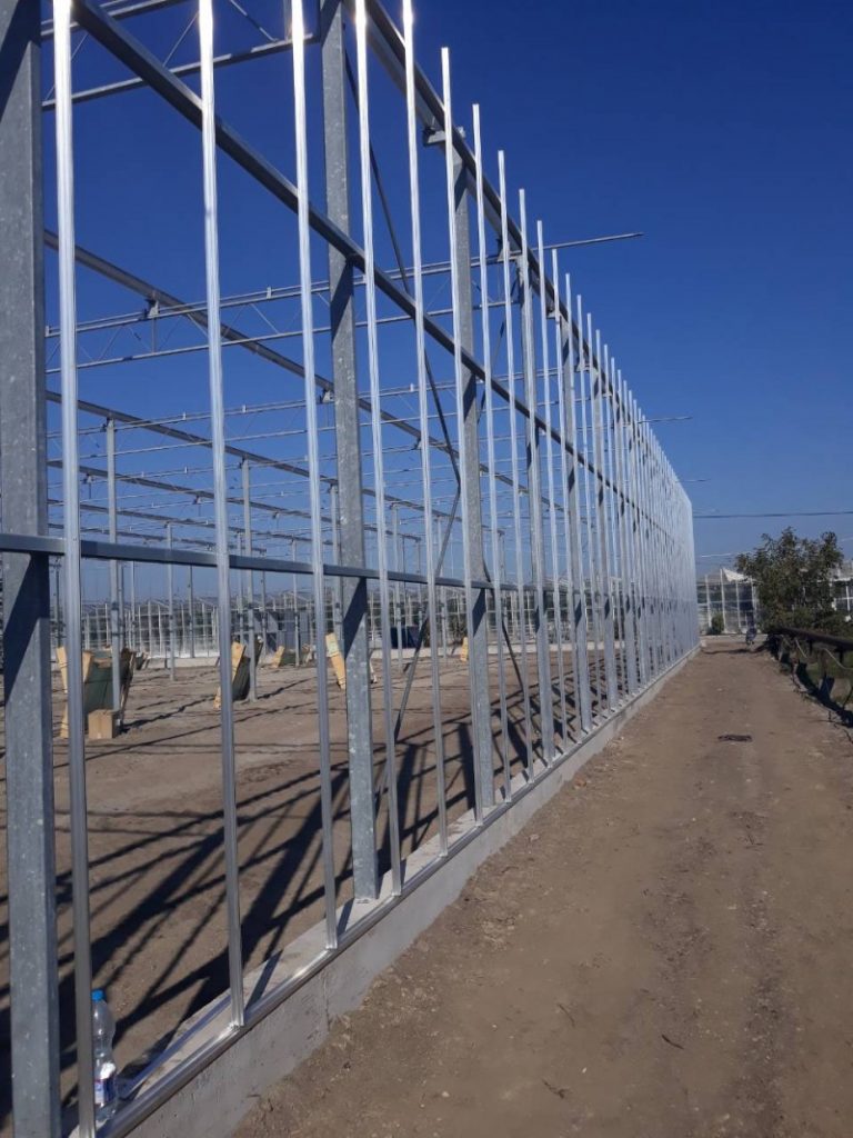 Hungary Debets Schalke