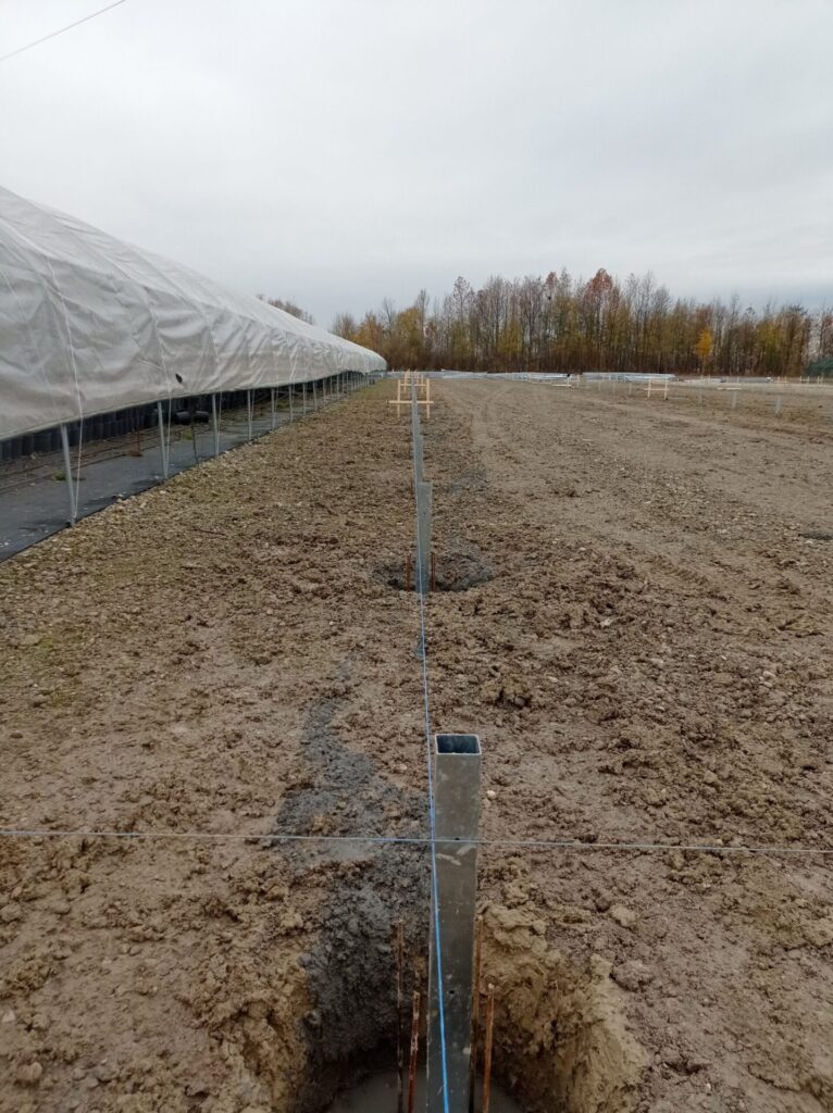 Italy – Idroterm – Floricoltura Daniela