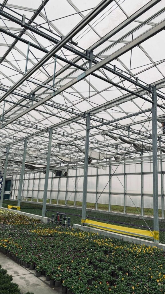 Italy – Odorico Idroterm