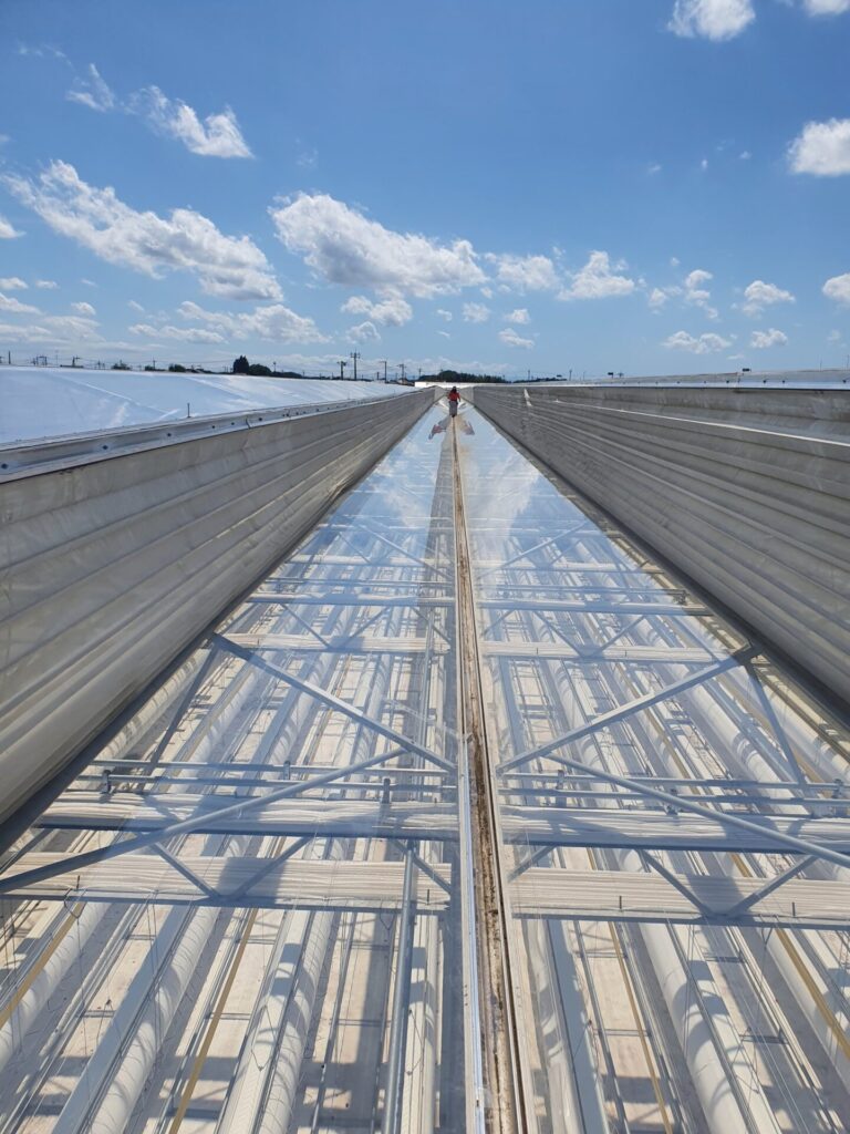 Japan BVZ Supervision