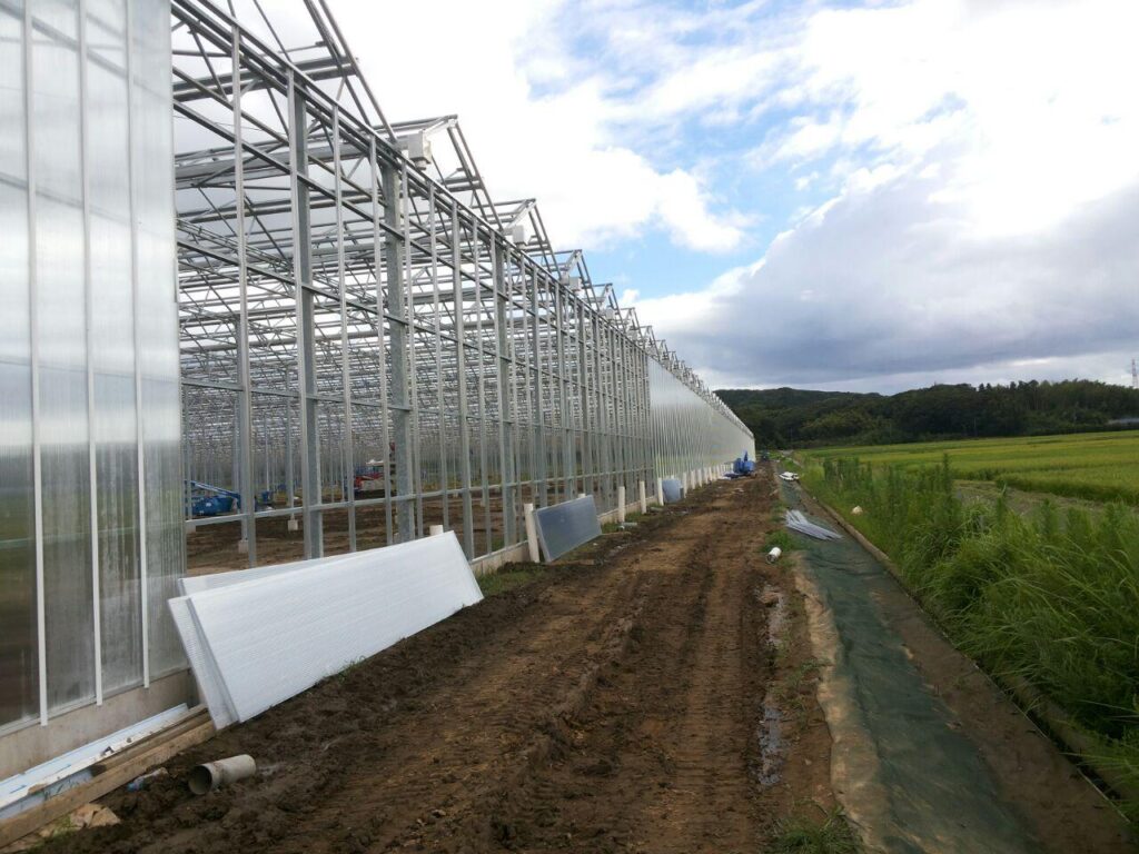 Japan Moerman & De Rijk