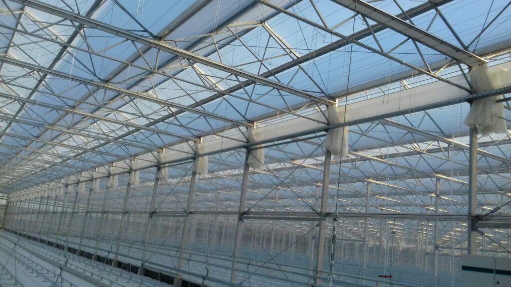Japan Tomita – Ide Farm. Yufu