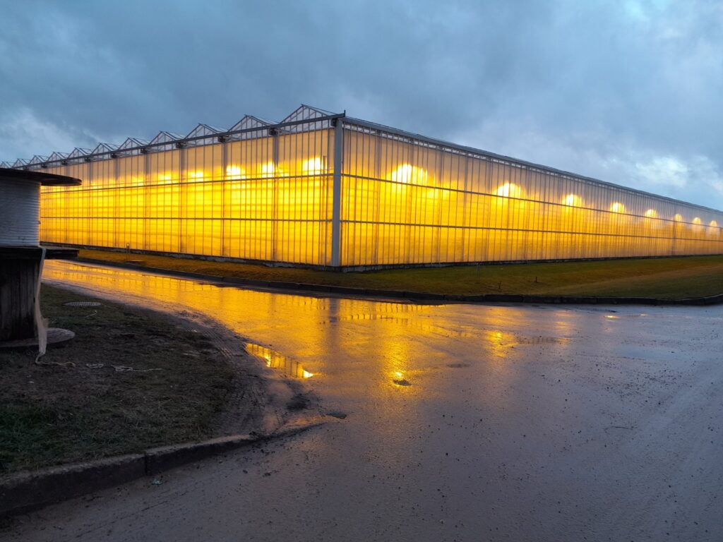 Lithuania – Certhon 2024