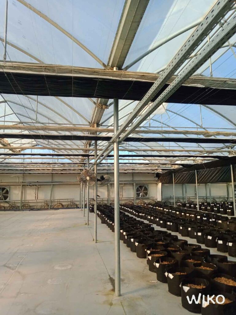 Macedonia – GM LIGHT MEDICAL – Screen analysis