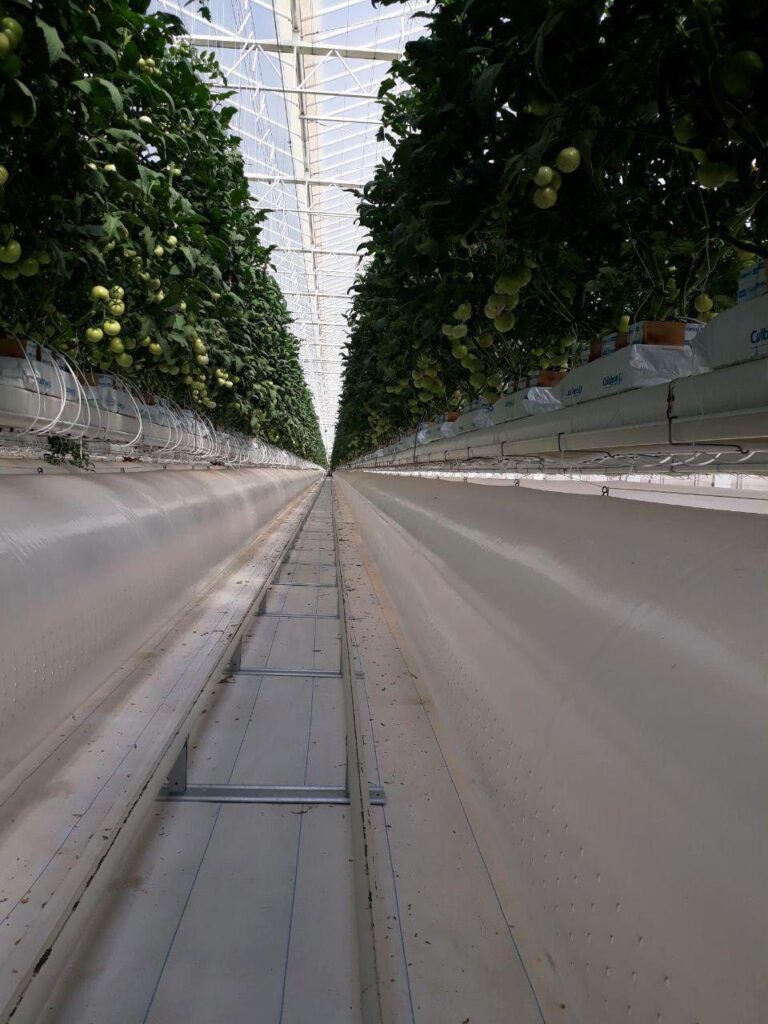 Pure Harvest – Abu Dhabi