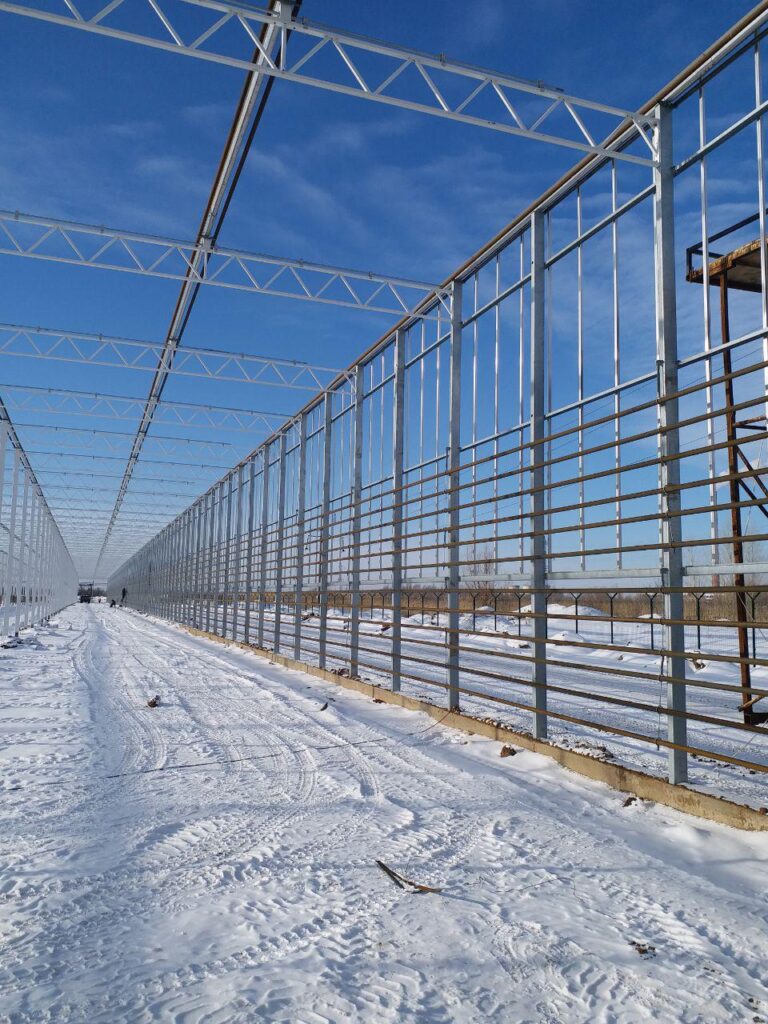 Russia Norby – Yugos