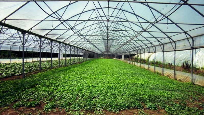 SanLucar – Tunisia