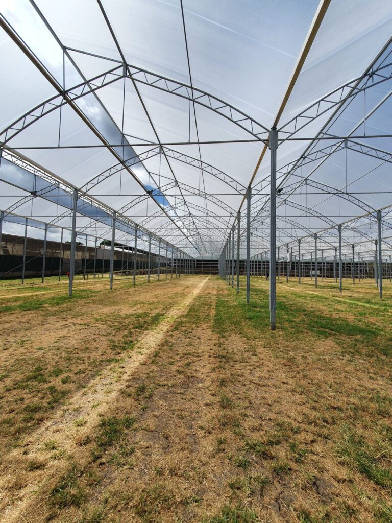 Tanzania- BVZ Supervision