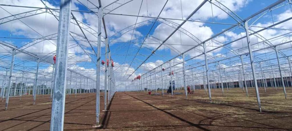 Tanzania – Supervision