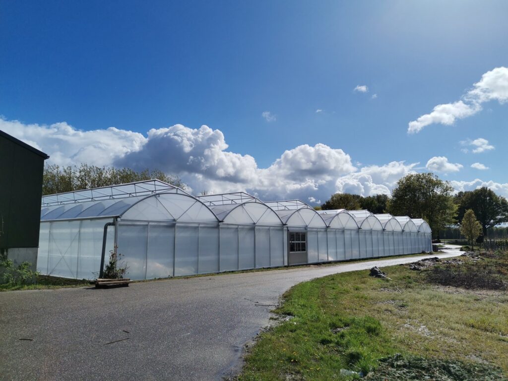 The Netherlands – Rovero