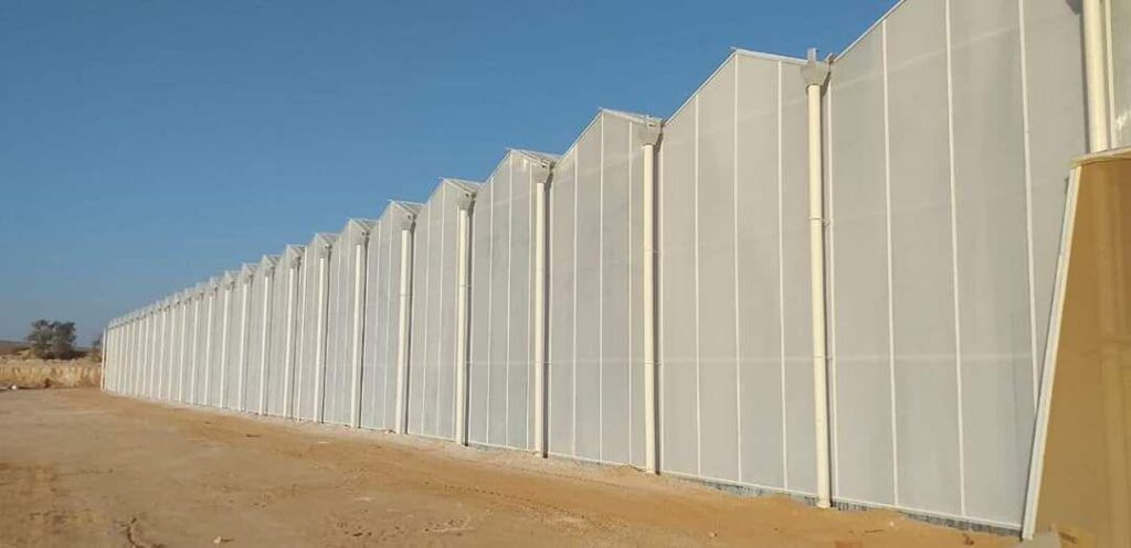 Tunisia Desert Joy 601-604