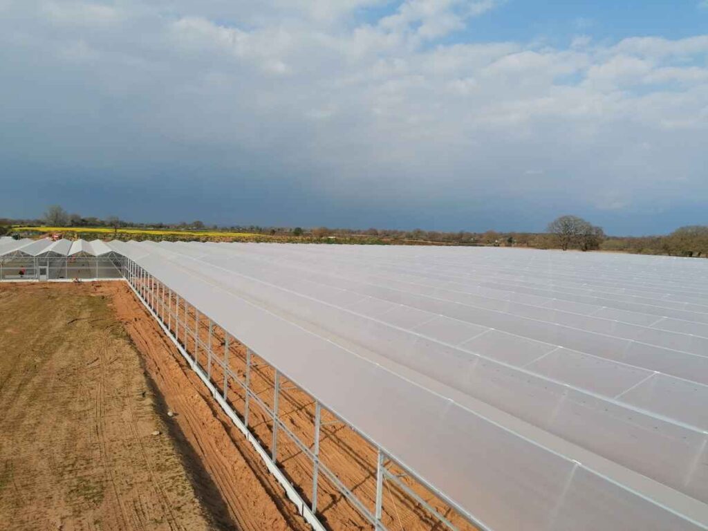 United Kingdom – Bosman Van Zaal