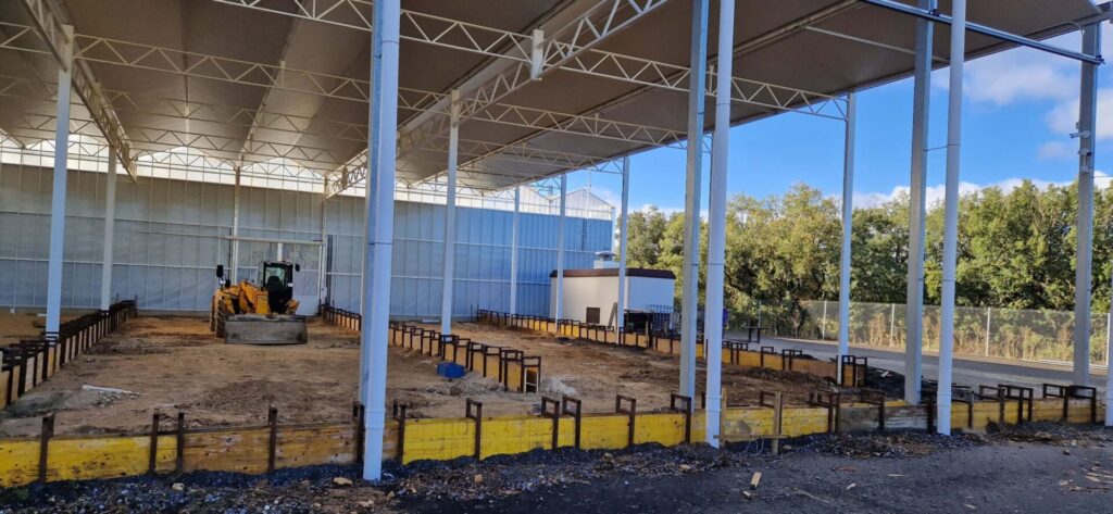 VDH Spain Foundation