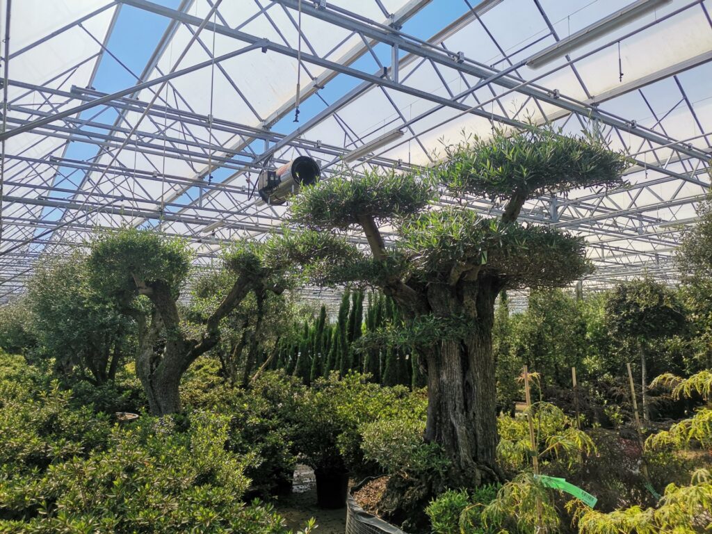 Different projects in Europe