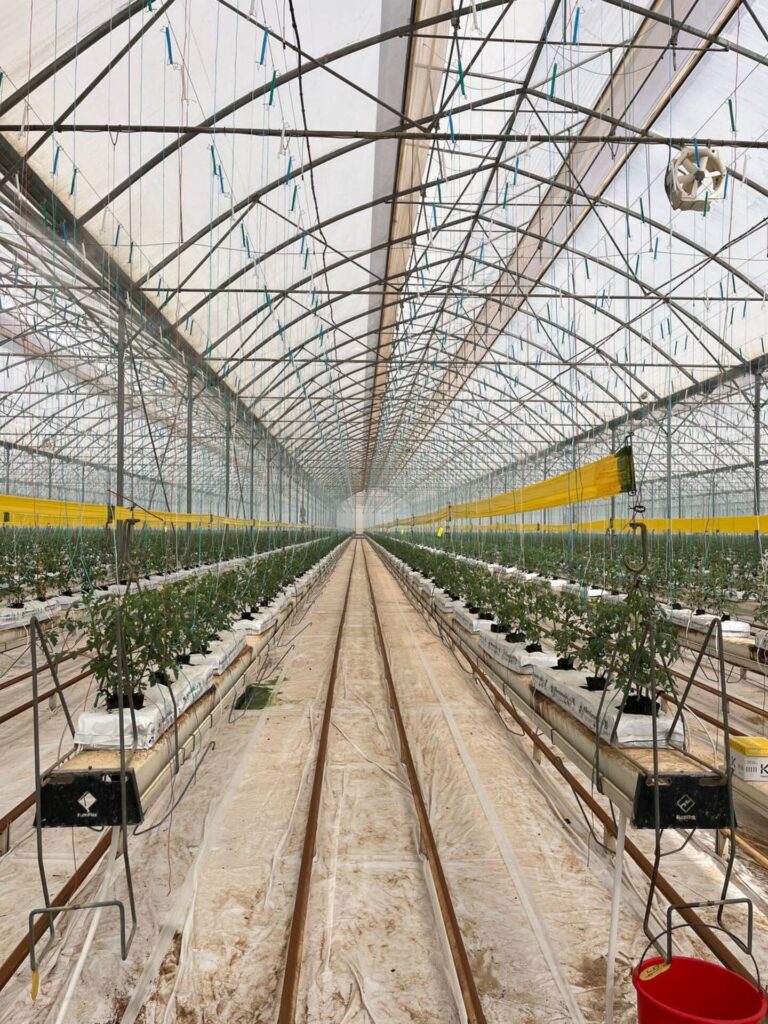 Maintenance work for the project Desert Joy in Tunisia