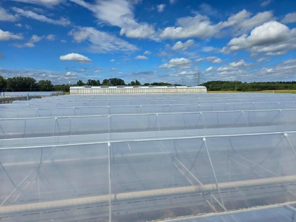 Maintenance work in Germany, foil change