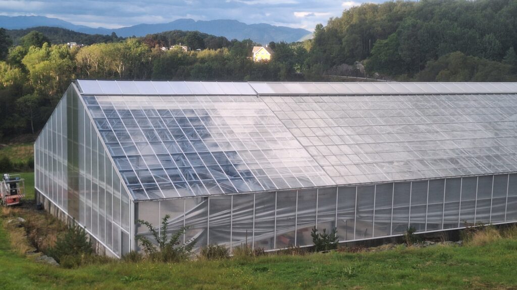 Reconstruction of the damaged roof on the glasshouse in Norway