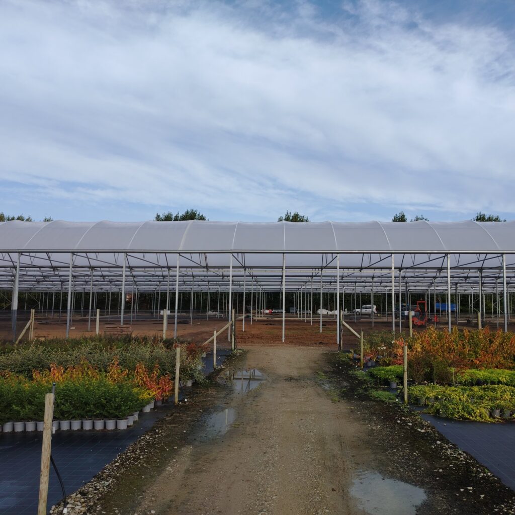 Assistance on the project in the UK